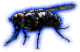 Housefly (Sad).png