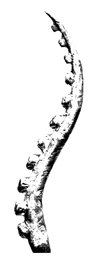 File:Abbi Tentacle (dying).png