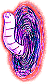 File:Wormhole (angry).png
