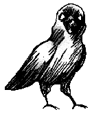 File:Crow Neutral (Unused).gif