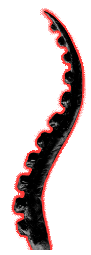 File:Abbi Tentacle (angry).gif