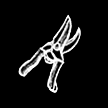 Garden shears.png