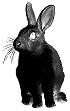 File:Rabbit (dying).png