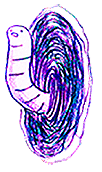 File:Wormhole (neutral).png