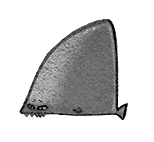 File:Shark Fin (damaged).png