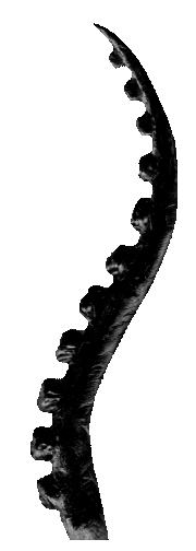 File:Abbi Tentacle (neutral).gif