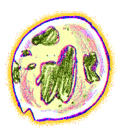 File:Snot Bubble (happy).gif