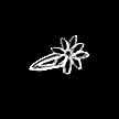 Flower clip.png