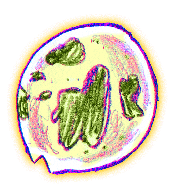 File:Snot Bubble (happy).png