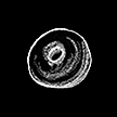 Donut.png