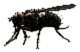 Housefly (Hurt).png