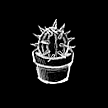 Cactus.png