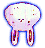 File:Forest Bunny Question (sad).png