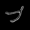 Wishbone.png