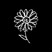 Daisy.png