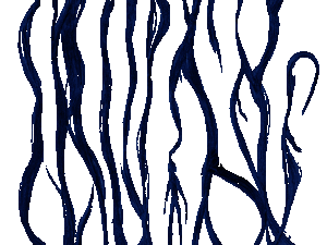 Spr somethingwater2.gif