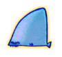 Happy Shark Fin