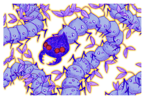 King Crawler (happy).png