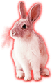 Rabbit (angry).png