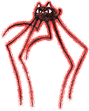 Spider Cat Angry (Unused).gif