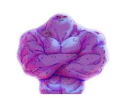 Pluto Expanded (normal).gif