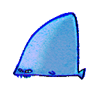 Shark Fin (neutral).gif