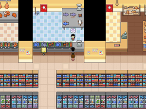 SS location PR Onewingash.png