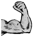 Pluto Right Arm (damaged).png