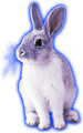 Rabbit (sad).png