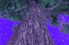 Big Strong Tree.png