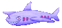 Shark Plane