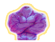 Happy Pluto (Expanded)