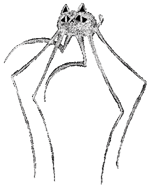 Spider Cat Defeated (Unused).gif