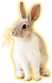 Rabbit (happy).png