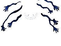 Something Heights.gif