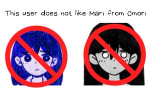 Mari-Omori-hater.jpg