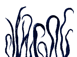 Spr somethingwater1.gif